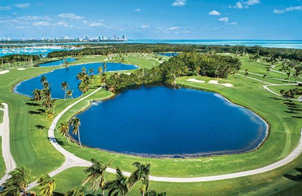 Gorgeous Beachy Chic Condo In Key Biscayne Miami Ngoại thất bức ảnh